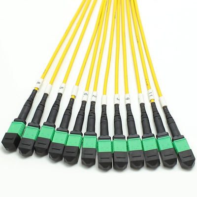 Cables MPO Fanout de baja pérdida Núcleo de gran cantidad 1M 144F SMG657A1 MPO APC a MPO APC Breakout Cord de parche de fibra óptica