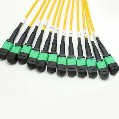 100G 200G MPO Hombre Hombre 8 12 16 24 Fibra a MPO Hombre Hombre Cordón de parche de fibra óptica para cableado de alta densidad en espacios pequeños