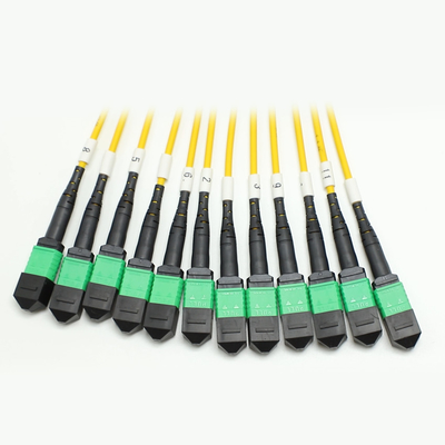 100G 200G MPO Hombre Hombre 8 12 16 24 Fibra a MPO Hombre Hombre Cordón de parche de fibra óptica para cableado de alta densidad en espacios pequeños